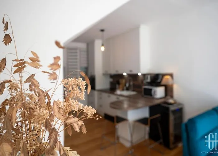 La Capucine - Hopital Bretonneau Tours